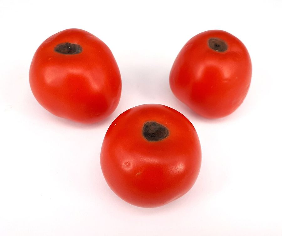 Three tomatoes with dark sunken patches on the bottom