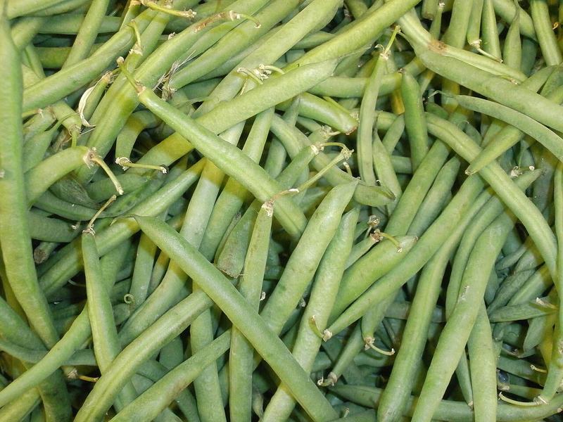 A pile of fresh green beans