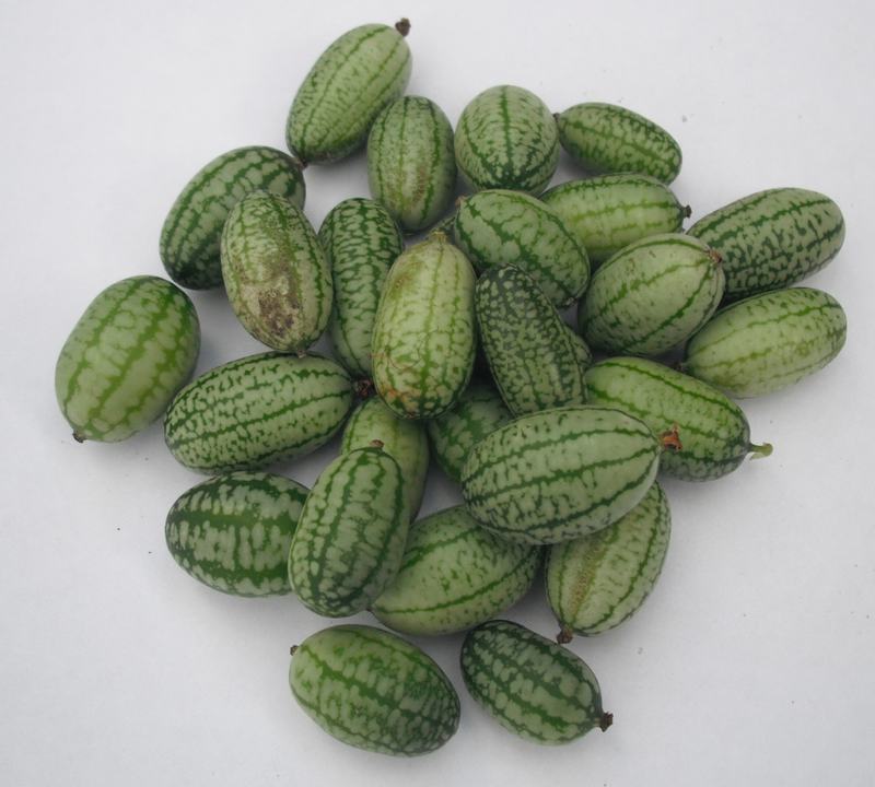 Cucamelons, tiny striped fruit like mini watermelons