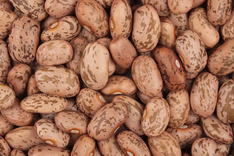 Dried pinto beans