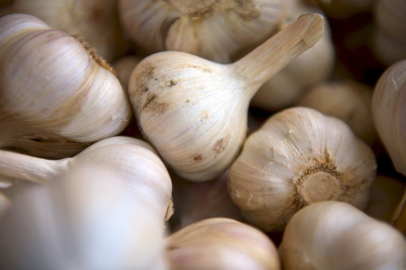 Garlic bulbs
