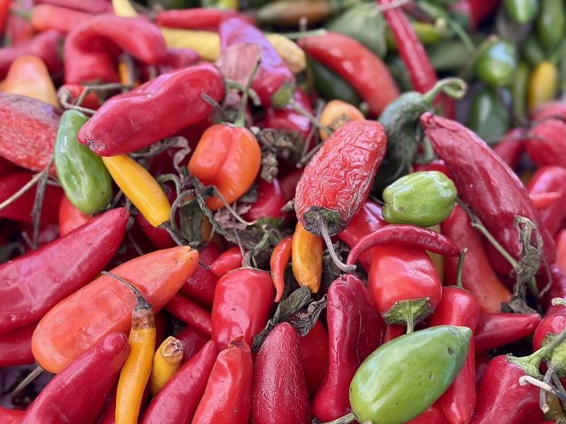 A pile of red and green chili peppers