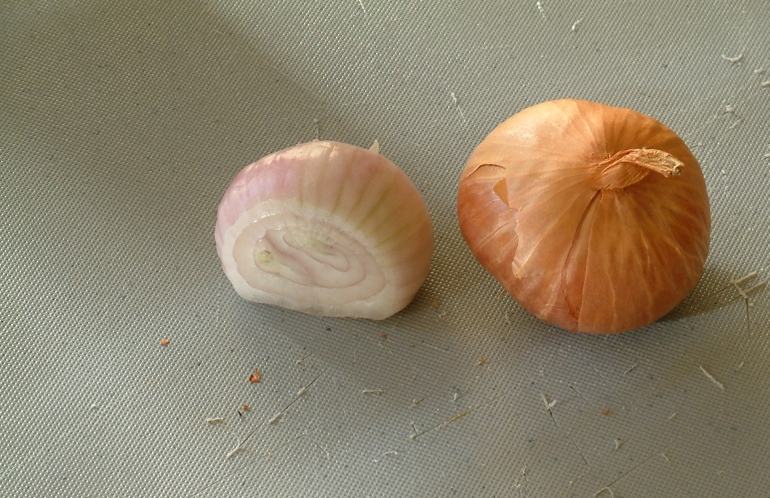 Two shallots, one cut to show its pink layers