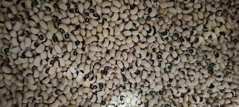 Dried black-eyed peas