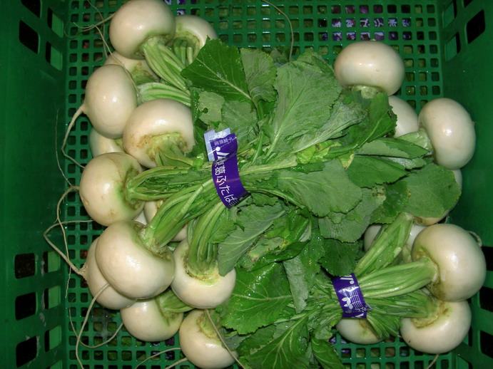 Small white turnips with their green tops